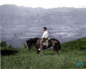Jack London on Sonoma Mountain