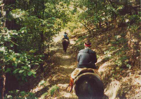 Riders on the Trails