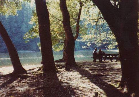 Picnic View of the Dam