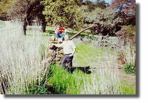 Liquid Manure